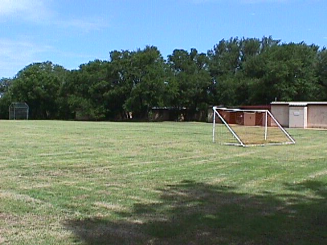 Field 1